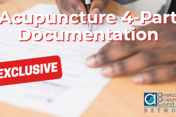 Acupuncture 4-Part Documentation